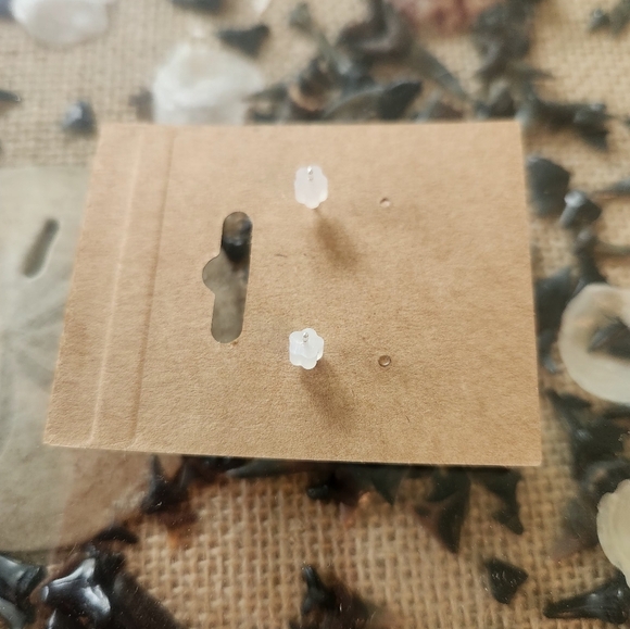 Handmade Black Shark Tooth Stud Earrings - Picture 3 of 3